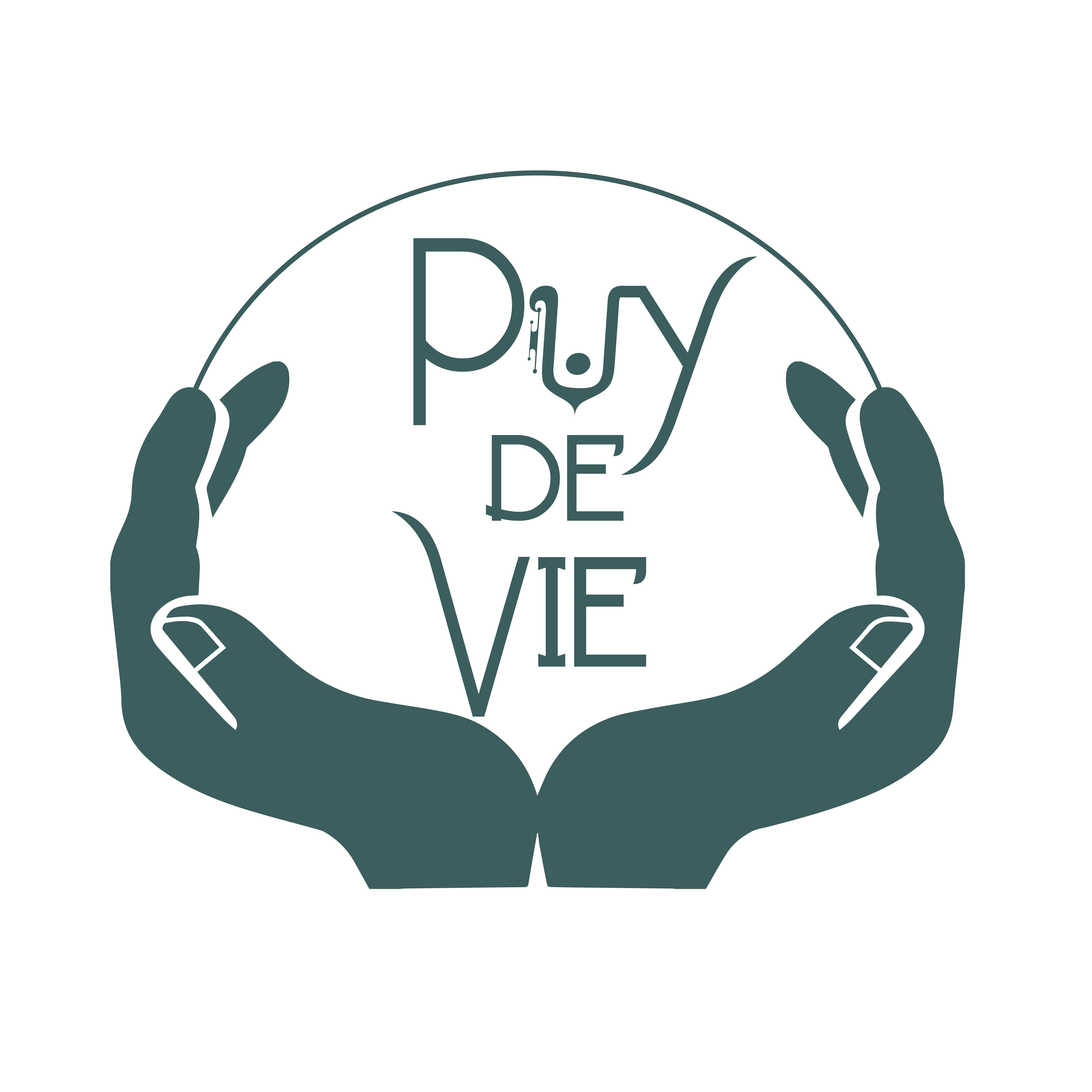 Puy de Vie